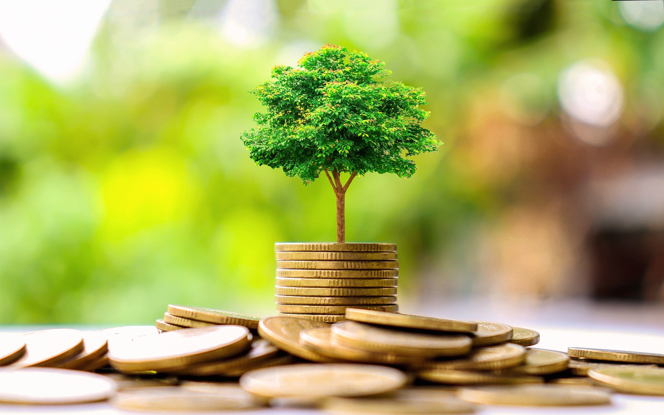 Financiamento sustentável: o que é e quais os critérios?